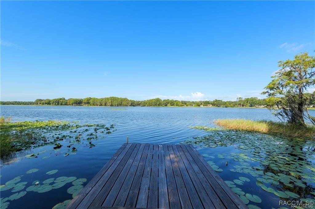5870 N Briarcliff Ter., Hernando, FL 34442
