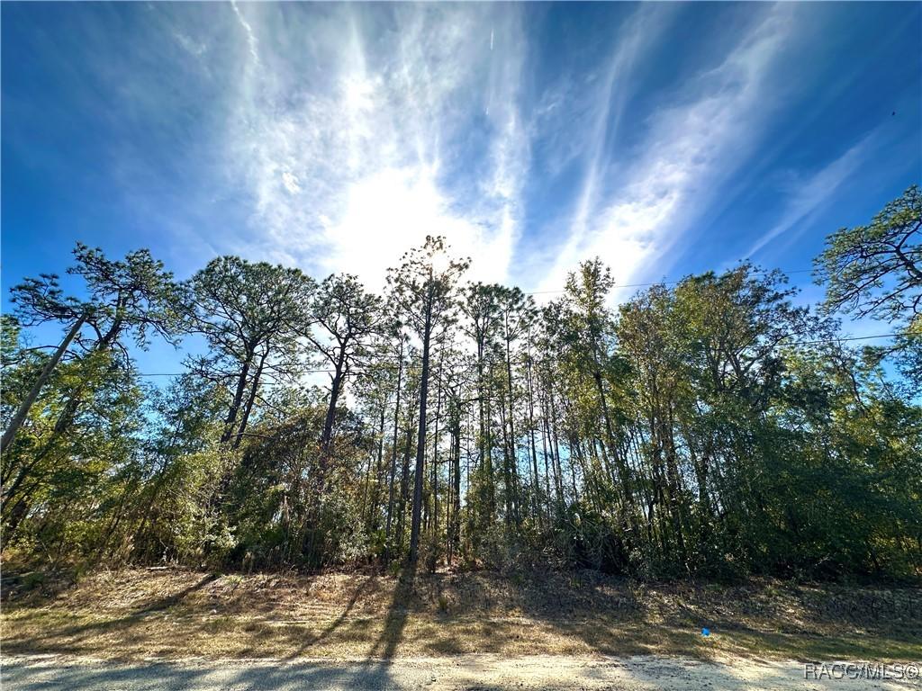 6914 N Heritage Dr., Citrus Springs, FL 34434