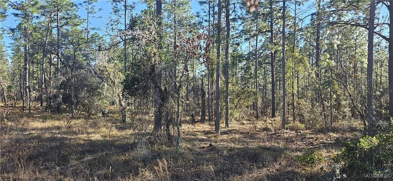 Lot 13 Nw Water Oak Ave., Dunnellon, FL 34431