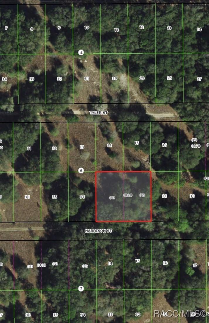 2404 Harrison St., Inverness, FL 34453