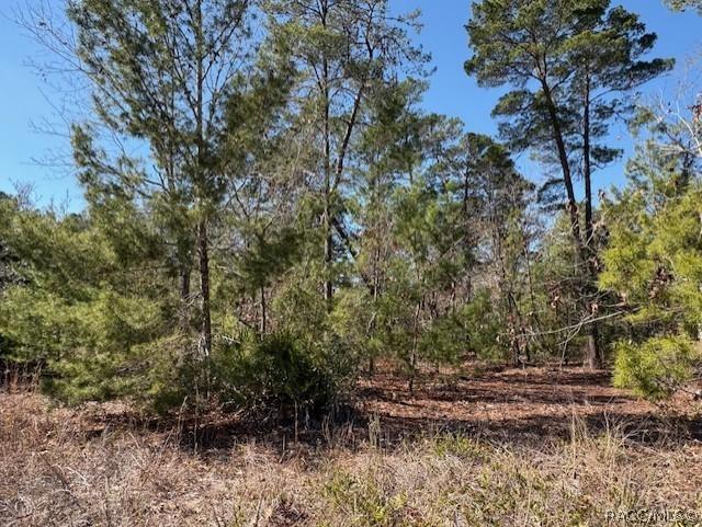 23 Tall Marigolds Ct., Homosassa, FL 34446