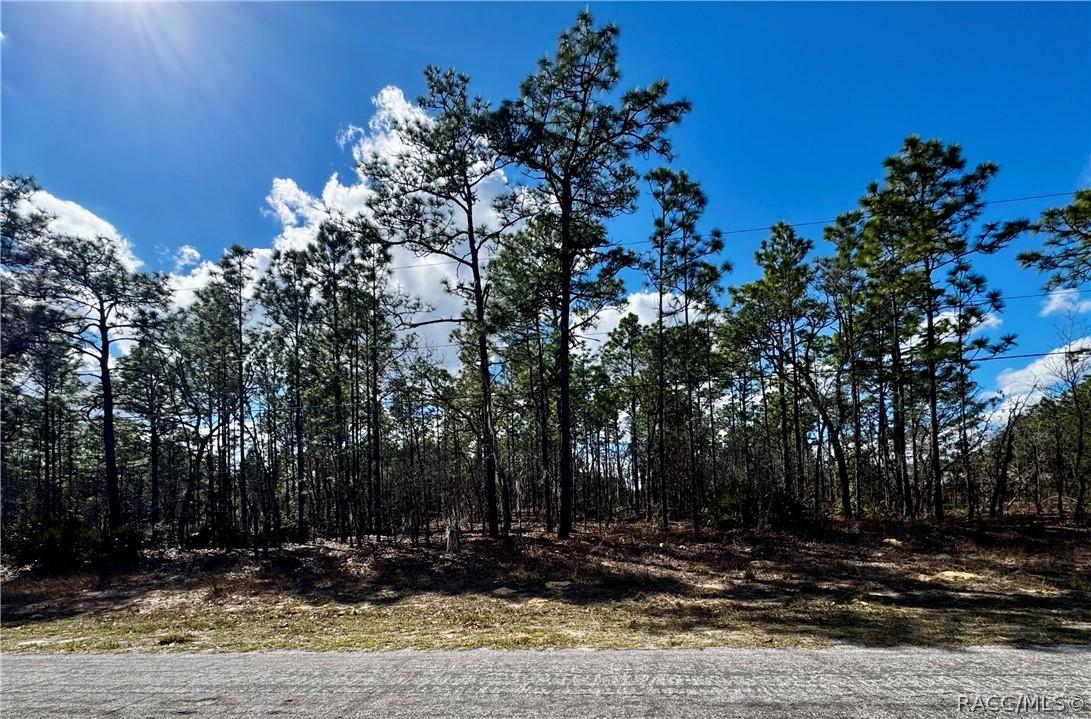 7778 N Gibralter Dr., Dunnellon, FL 34434