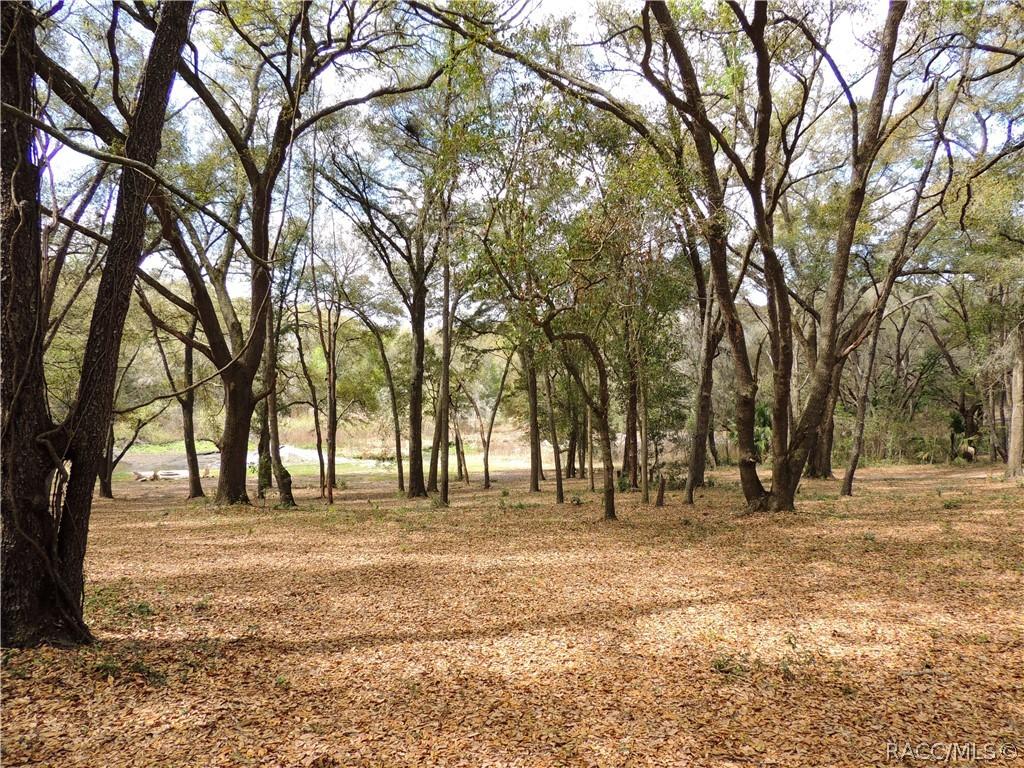 0000 Piney Ridge Blvd., Fruitland Park, FL 34731