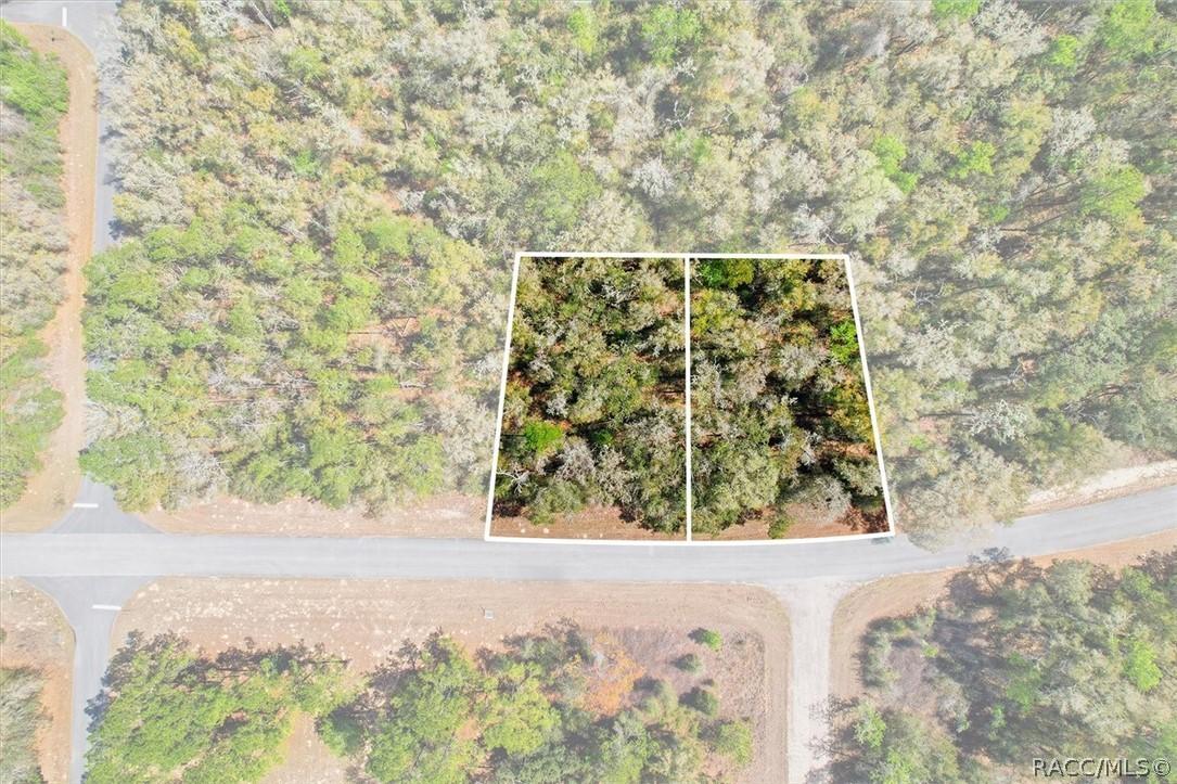 8987 N Alameda Dr., Dunnellon, FL 34434
