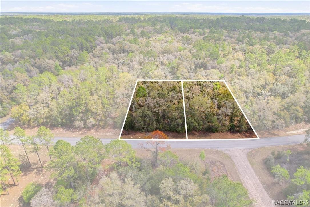 8969 N Alameda Dr., Dunnellon, FL 34434