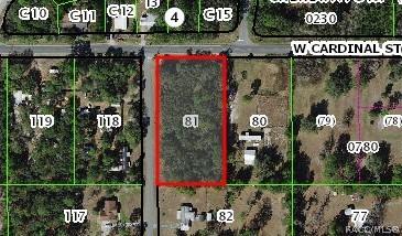 6775 S Sorrell Ave., Homosassa, FL 34446