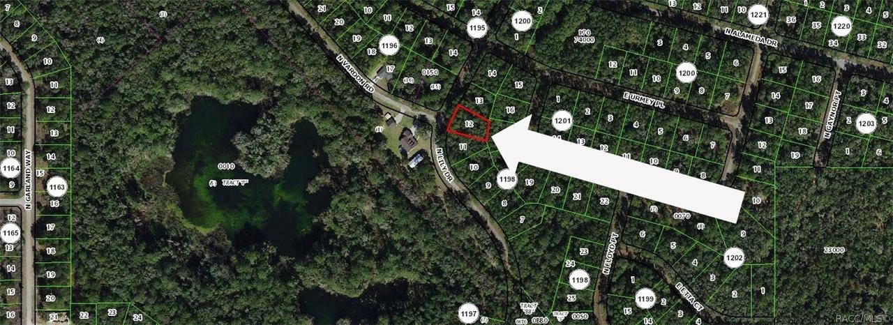 8295 N Lily Dr., Citrus Springs, FL 34434