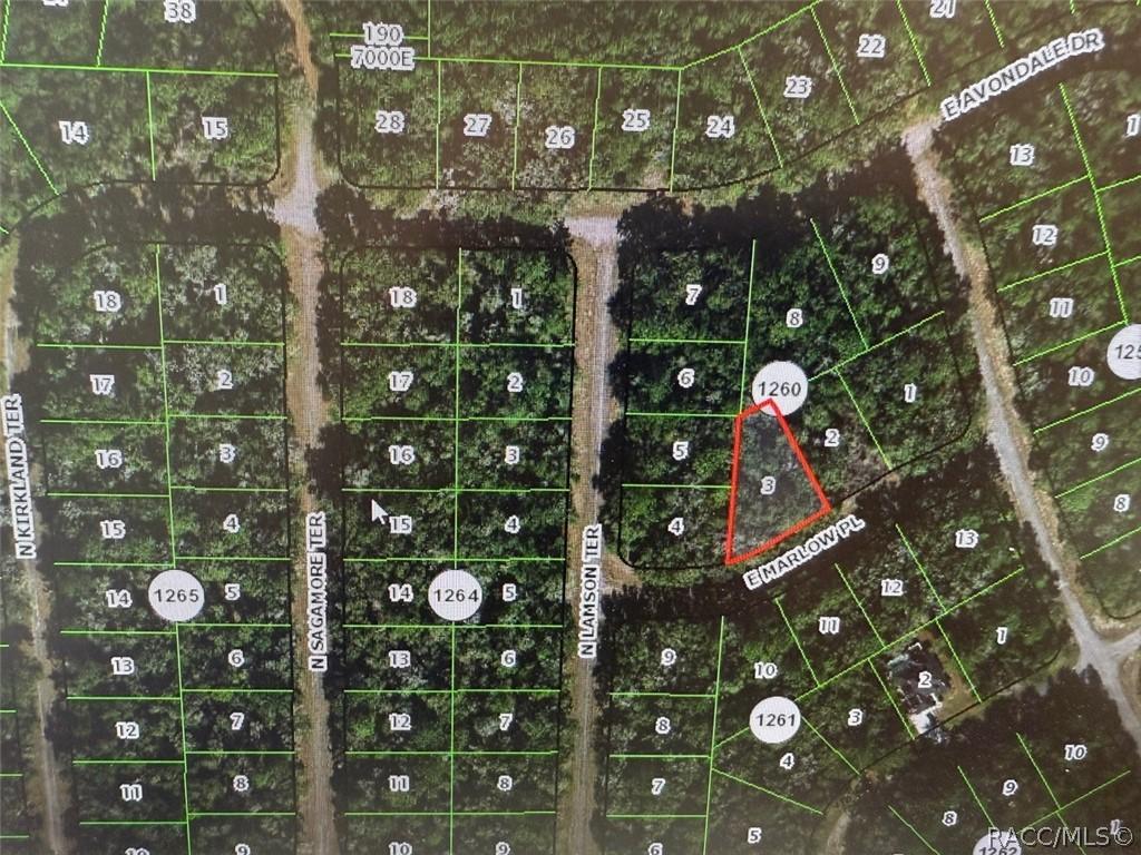 431 E Marlow Pl., Dunnellon, FL 34434