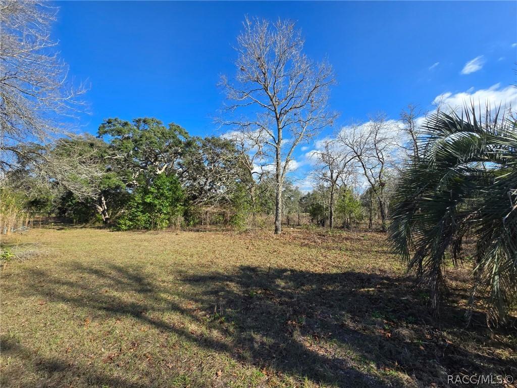 6335 S Tropicana Ave., Lecanto, FL 34461