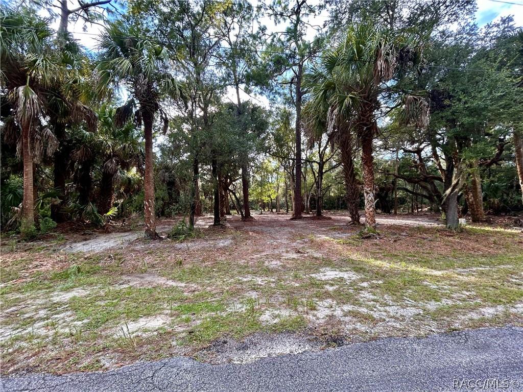 7544 N Bitterroot Dr., Crystal River, FL 34428