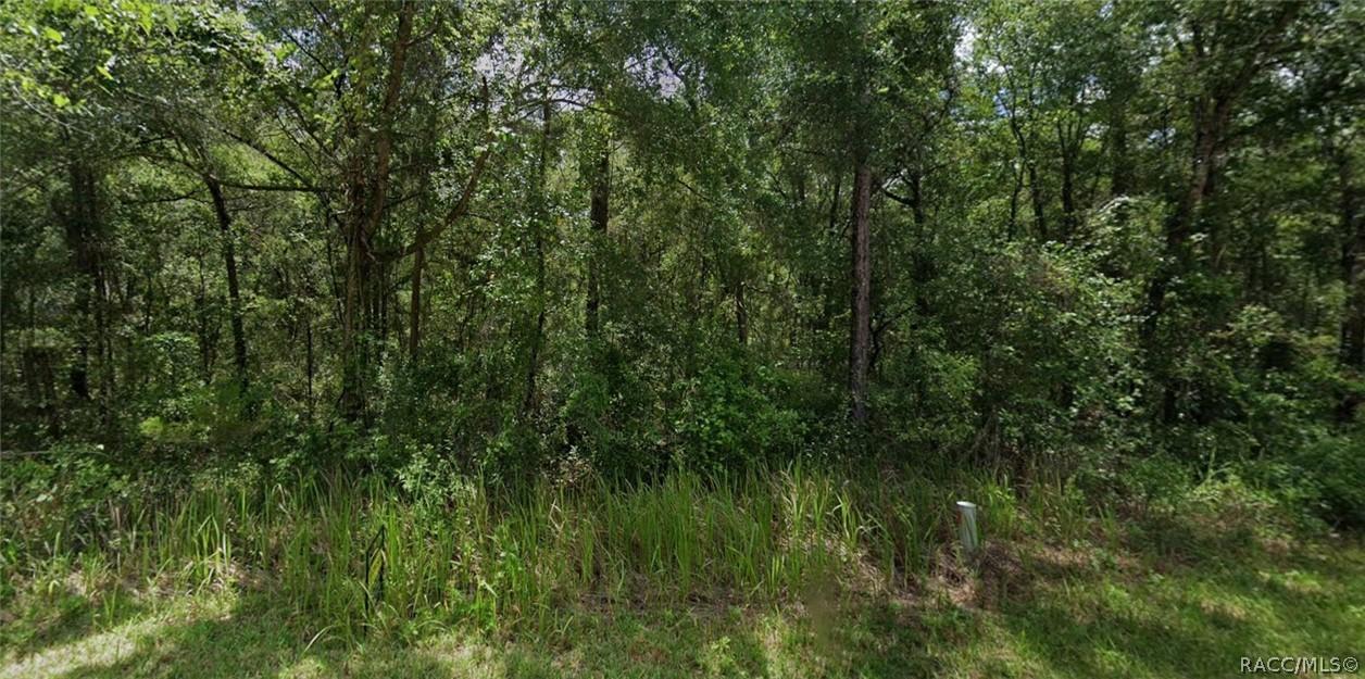 305 N Fitzpatrick Ave., Inverness, FL 34453