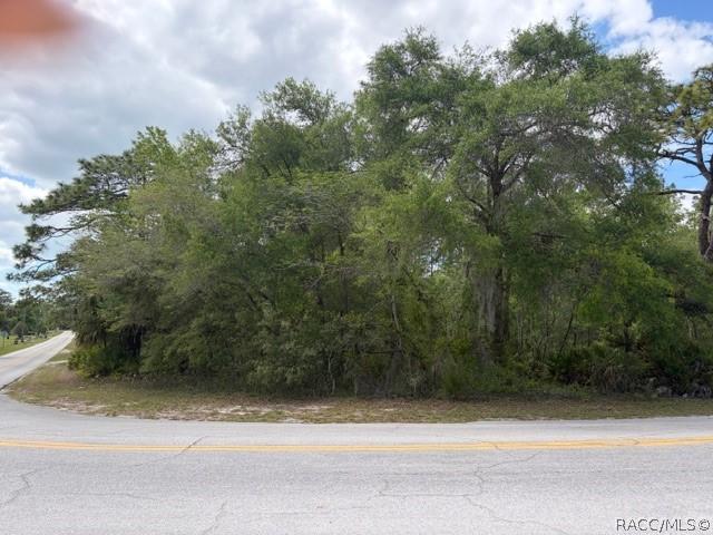 3136-3234 N Holiday Dr., Crystal River, FL 34428