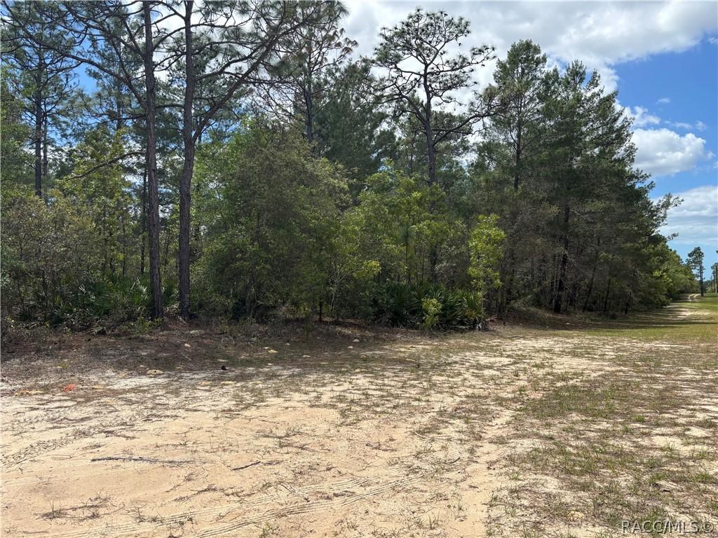 6520 N Redmond Ct., Dunnellon, FL 34433