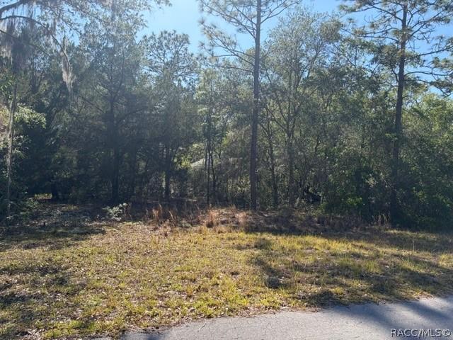 6162 W Bovio Ct., Dunnellon, FL 34433