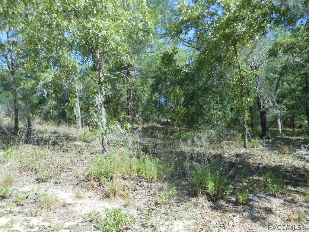 5225 E Prentice Ln., Inverness, FL 34452
