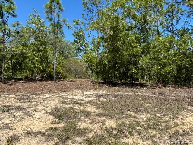 2888 W Lambert Dr., Dunnellon, FL 34433
