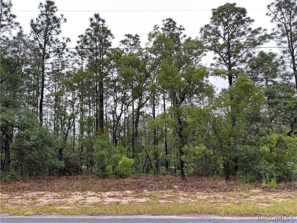 2905 W Sharpes Dr., Citrus Springs, FL 34433