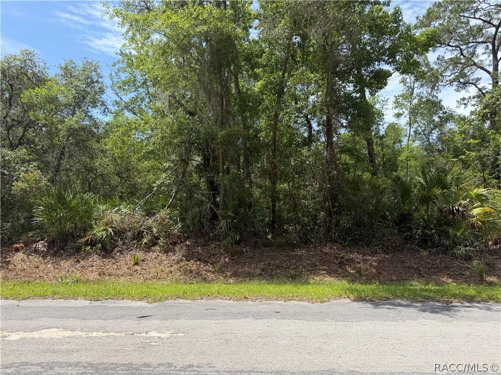 12064 W Deodar St., Crystal River, FL 34428