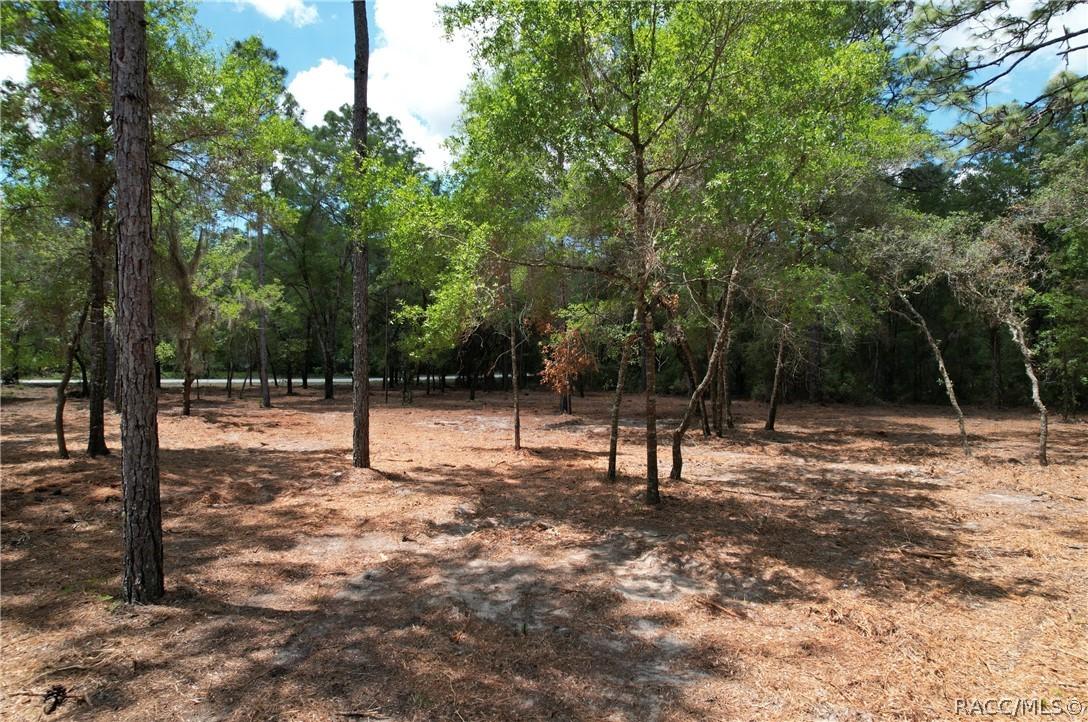 6925 W Copenhagen St., Dunnellon, FL 34433