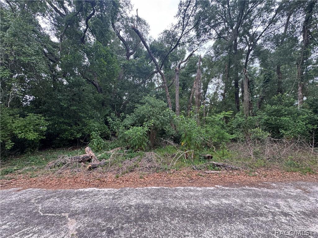 3638 E Lee Dr., Inverness, FL 34453