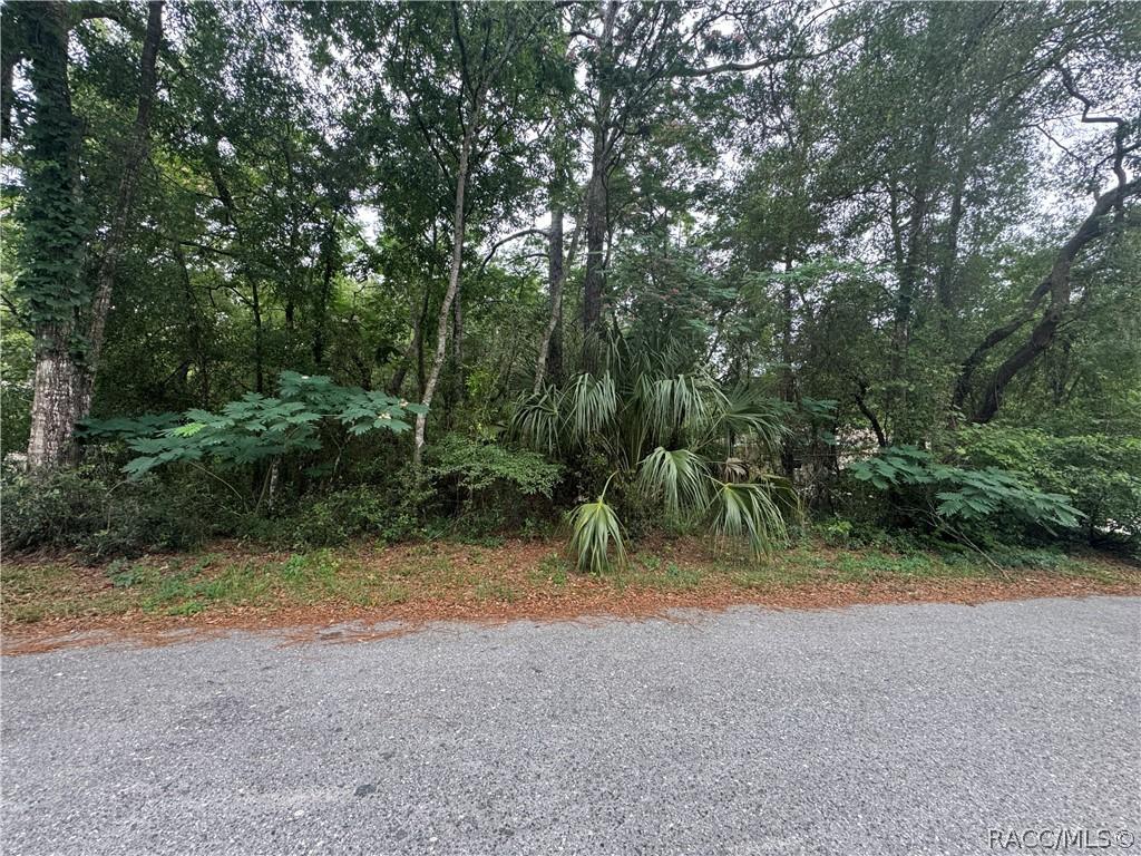 3462 E Michael St., Inverness, FL 34453