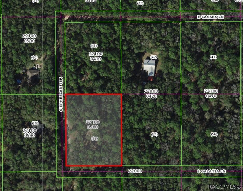 13407 S Ephesian Ter., Floral City, FL 34436