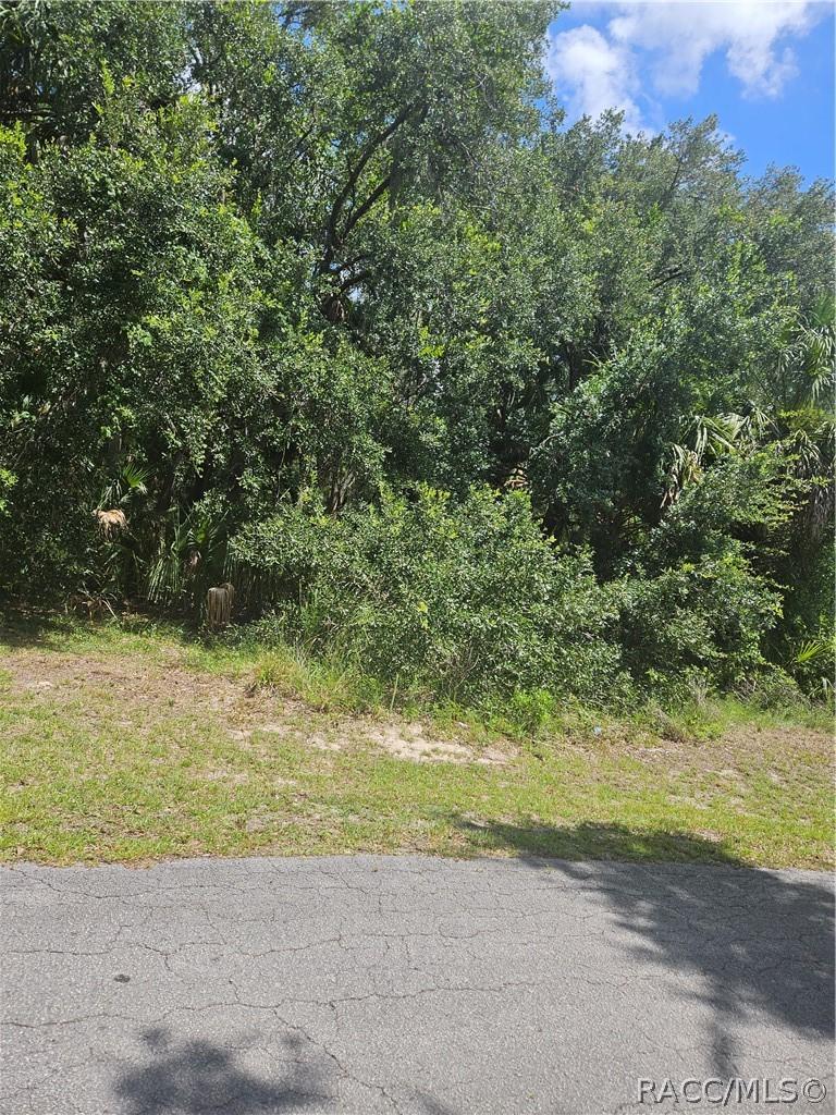 60 S Camellia Ave., Crystal River, FL 34429