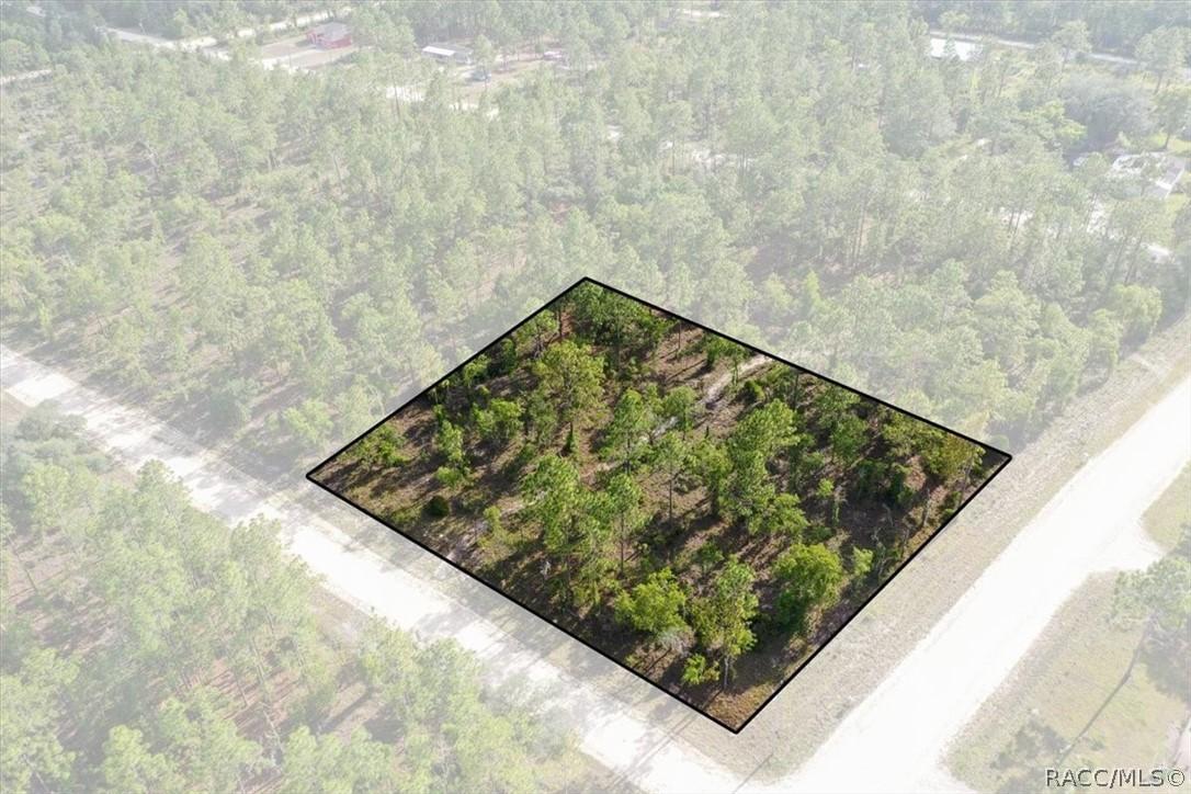 0000 NE 132nd Lot 1 Ter., Williston, FL 32696