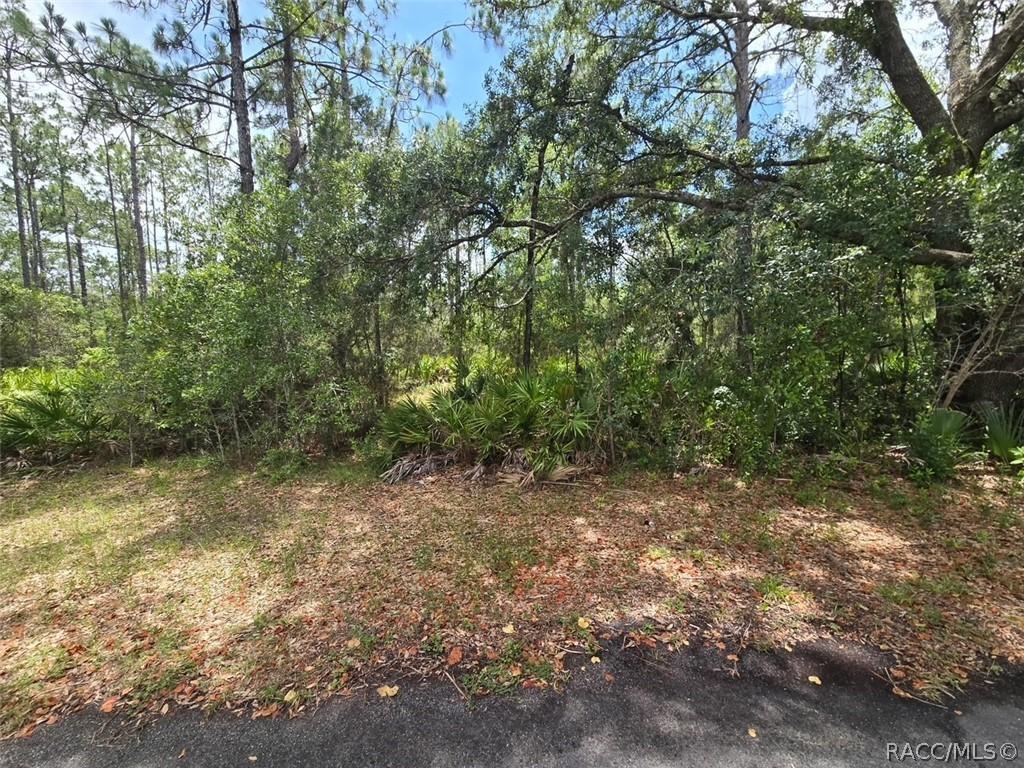 28 Mangrove Ct., Homosassa, FL 34446