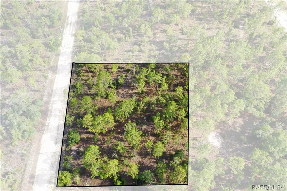 0000 NE 132nd Lot 2 Ter., Williston, FL 32696