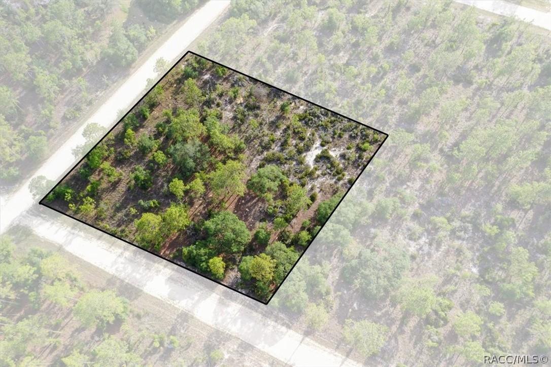 0000 NE 132nd Lot 5 Ter., Williston, FL 32696