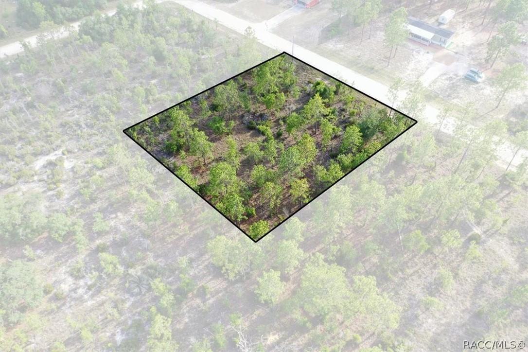 0000 NE 131st Lot 7 Ter., Williston, FL 32696