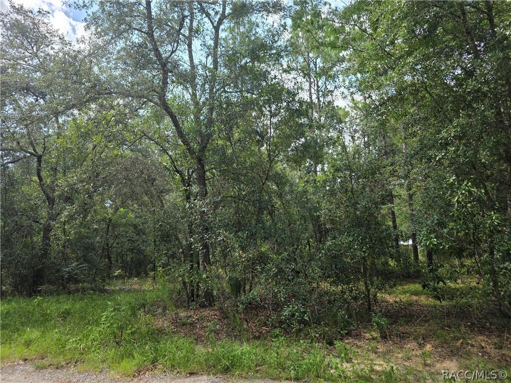 3211 E Millside Ln., Inverness, FL 34453