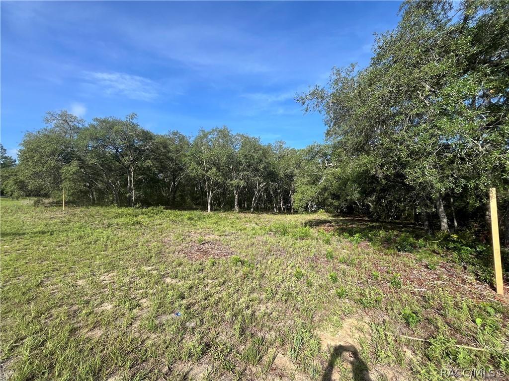 6990 N Lime Dr., Citrus Springs, FL 34433