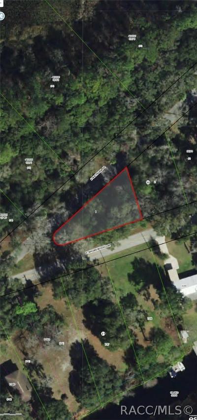 4381 E Shorewood Dr., Hernando, FL 34442