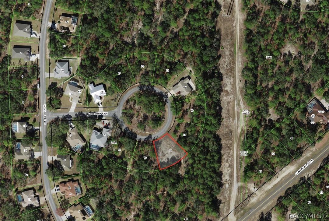 9 Hackberry Ct., Homosassa, FL 34446