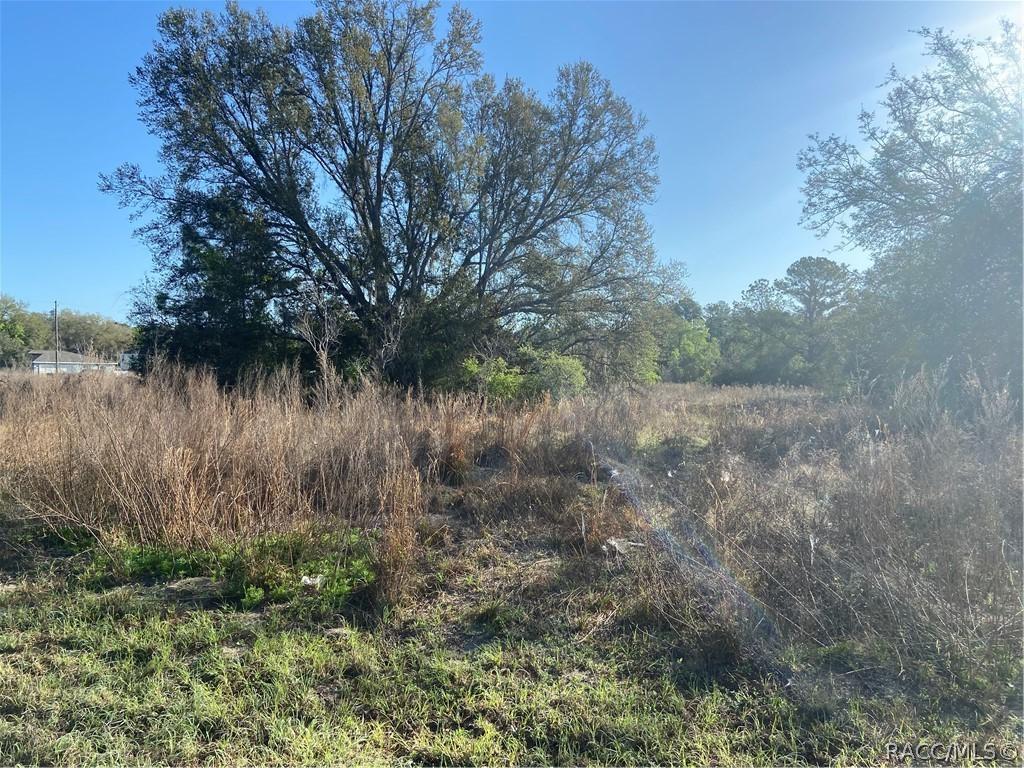 7748 & 7762 Manville Rd., Dunnellon, FL 34434