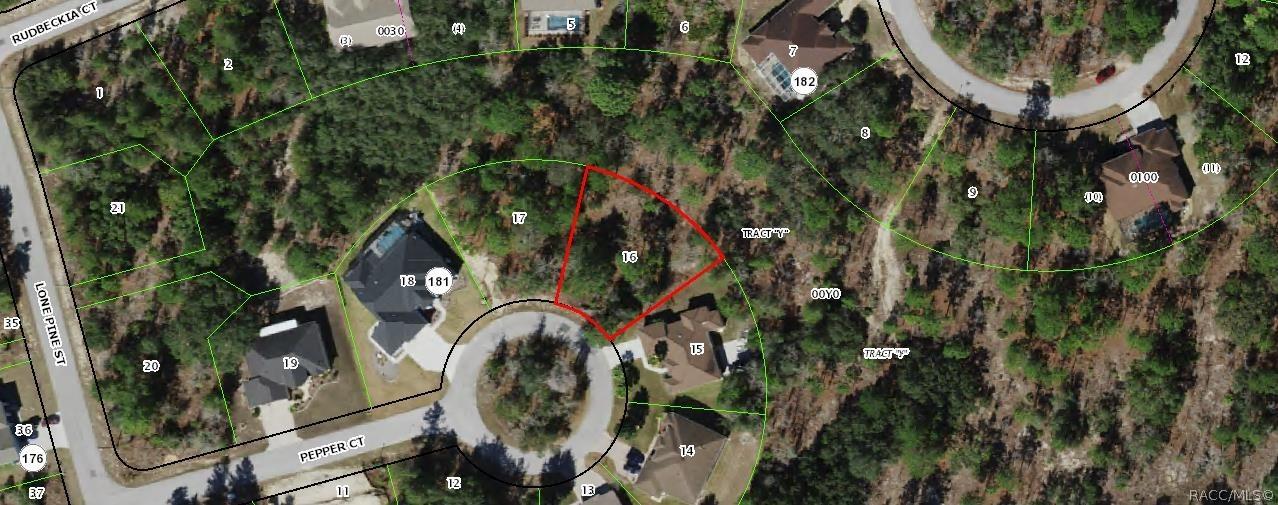 9 Pepper Ct., Homosassa, FL 34446