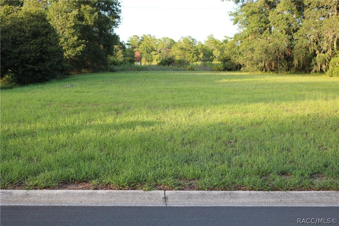 1697 N Wembley Dr., Crystal River, FL 34429