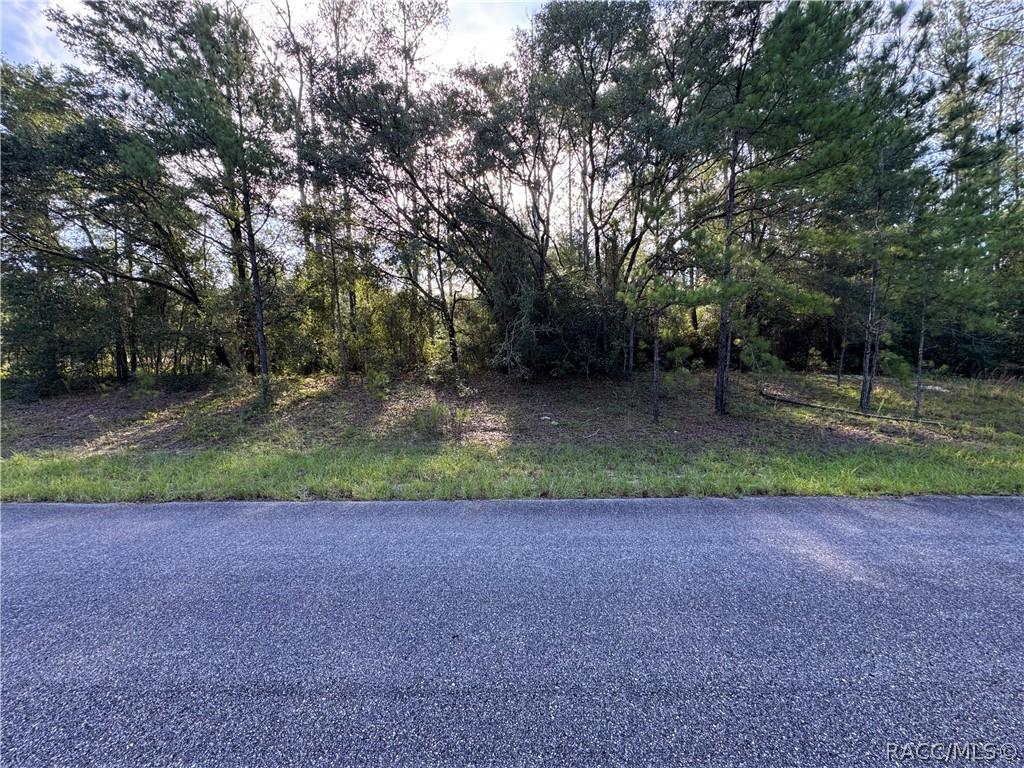 1273 E Toledo Dr., Dunnellon, FL 34434