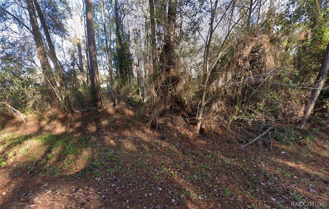 110 Pamela Dr., Satsuma, FL 32189
