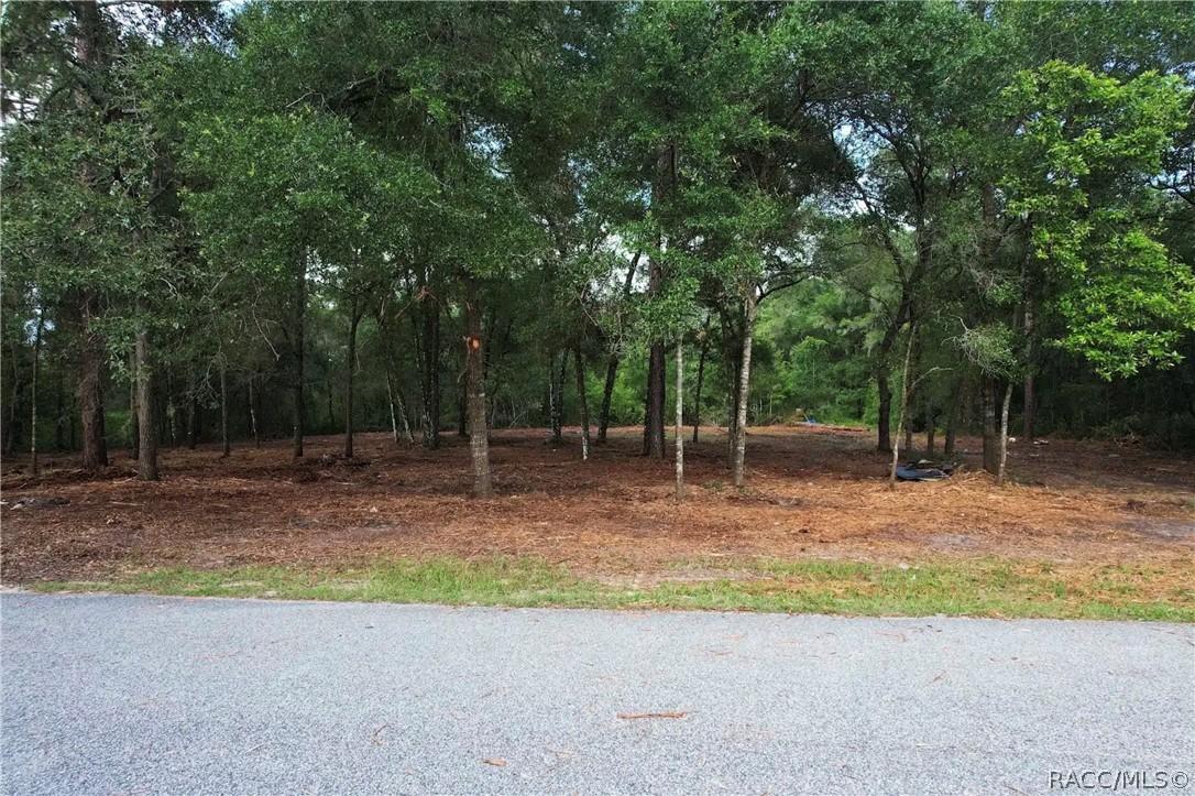 6777 N Castlebury Rd., Hernando, FL 34442