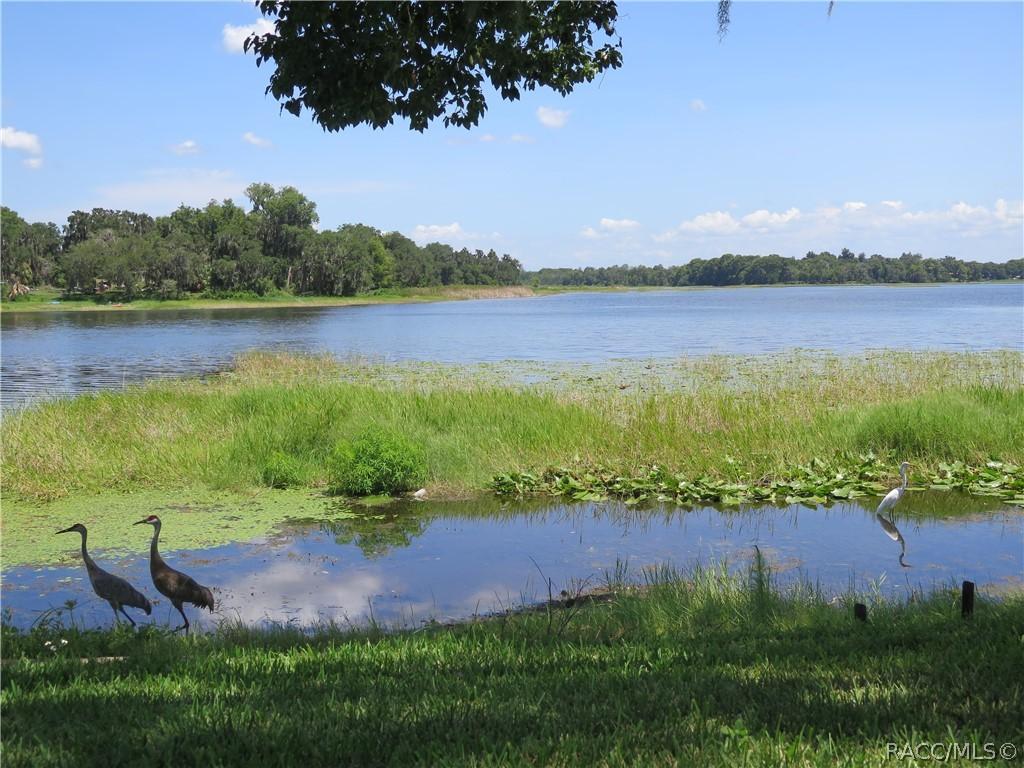 4014 E Lake Park Dr., Hernando, FL 34442