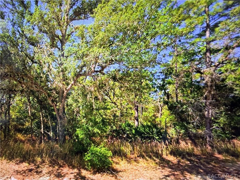 2722 W Pine Ridge Blvd., Beverly Hills, FL 34465