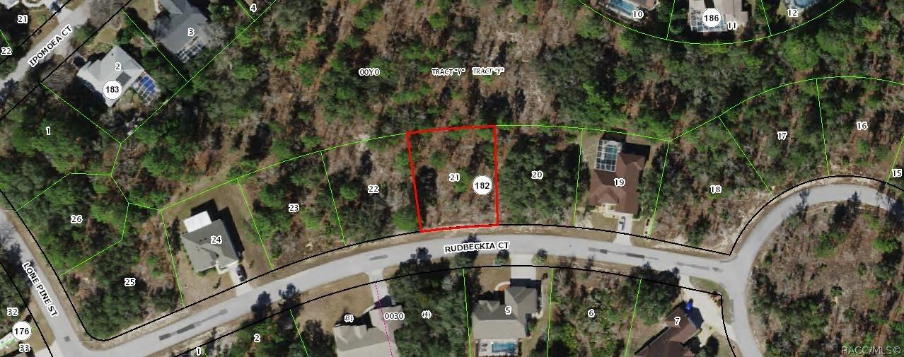 9 Rudbeckia Ct., Homosassa, FL 34446