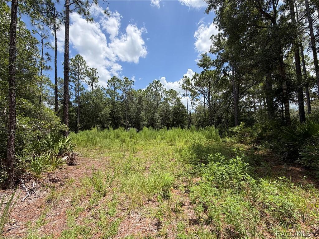 6712 W Macopin Ln., Crystal River, FL 34429