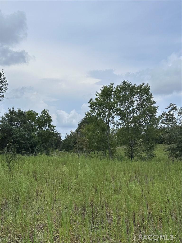 131 N Tighe Dr., Inverness, FL 34453