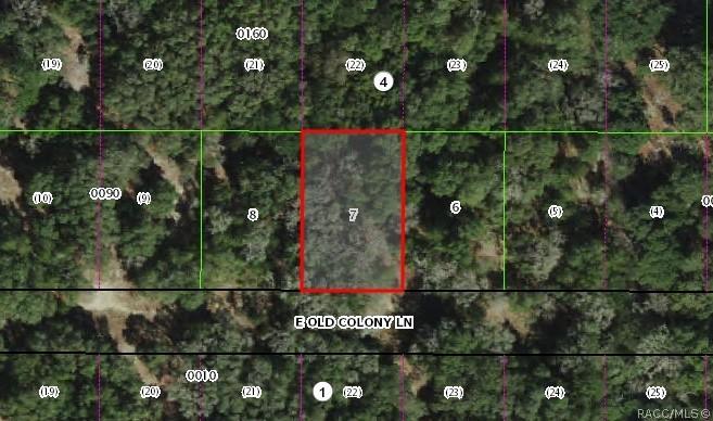 2037 E Old Colony Ln., Inverness, FL 34453