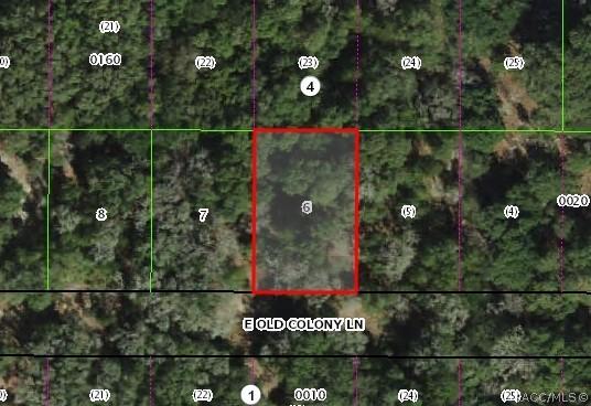 2061 E Old Colony Ln., Inverness, FL 34453