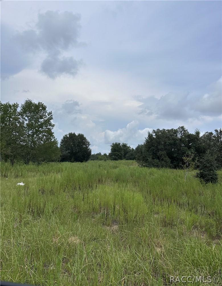 2171 E Four Seasons Ln., Inverness, FL 34453